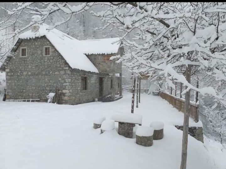 Guest House Gjelaj Theth Kültér fotó